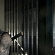 Image for article titled Left 4 Dead To Be Cut Scene Free